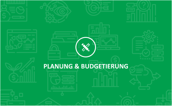 Planung & Budgetierung